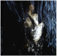 Album cover for Vestigial Spectra