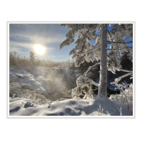 Album cover for Ever North