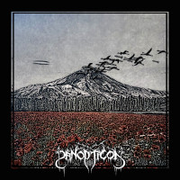 Album cover for The Poppies Bloom for No King