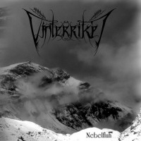 Album cover for Nebelfluh