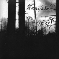 Album cover for Manifesto / Vinterriket