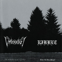 Album cover for Vinterriket / Rikket