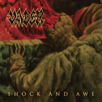 Album cover for Shock and Awe
