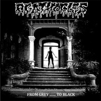 Album cover for From Grey… to Black