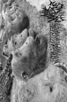 Album cover for Agathocles / My War Crimes