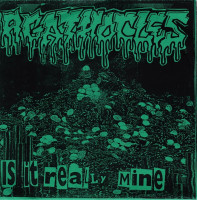 Album cover for Is It Really Mine / Trying to Breakout