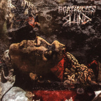 Album cover for Agathocles / Slund