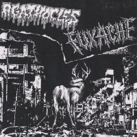 Album cover for Agathocles / Fuxache