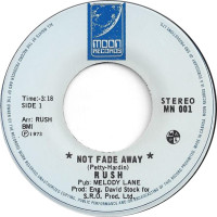 Album cover for Not Fade Away