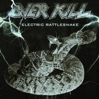 Album cover for Electric Rattlesnake