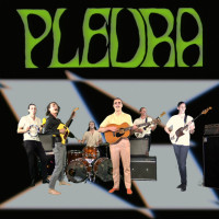 Album cover for Pleura