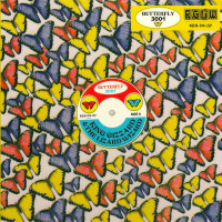 Black Hot Soup (DJ Shadow “My Own Reality” re‐write)