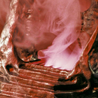 Album cover for Planet B