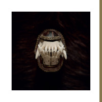 Album cover for De Toorn (Talisman)