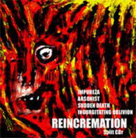 Album cover for Reincremation