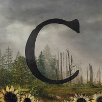Album cover for C