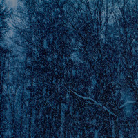 Album cover for Never
