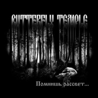 Album cover for Помнишь рассвет...