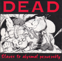 Album cover for Slaves to Abysmal Perversity