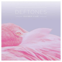Album cover for Doomed User