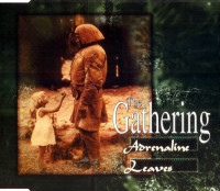 Album cover for Adrenaline / Leaves
