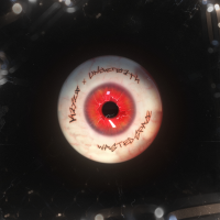 Album cover for WASTED SPACE