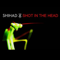 Album cover for Shot in the Head