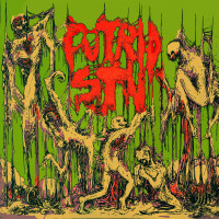Album cover for Transfigere