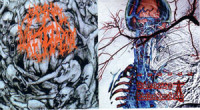 Album cover for Carnal Diafragma / Bizarre Embalming