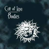 Album cover for Bodies / Recluse