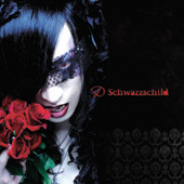 Album cover for Schwarzschild