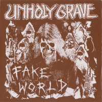 Album cover for Fake World