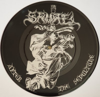 Album cover for After the Sepulture