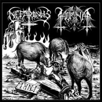 Album cover for Horna / Nefarious