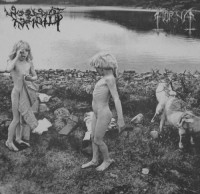 Album cover for Horna / Woods of Infinity