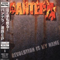Album cover for Revolution Is My Name