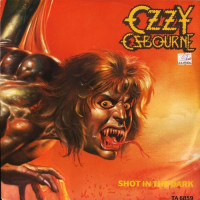 Album cover for Shot in the Dark