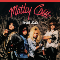 Album cover for Wild Side