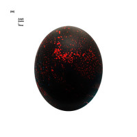 Album cover for Eyehatethou