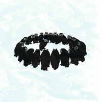 Album cover for The Archer & the Owle