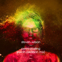 Album cover for Permanating