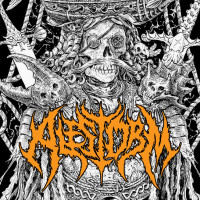Album cover for The Storm (acoustic version)