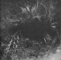 Album cover for Loss