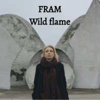 Album cover for Wild Flame