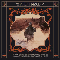 Album cover for V: Lamentations