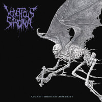 Album cover for A Flight Through Obscurity