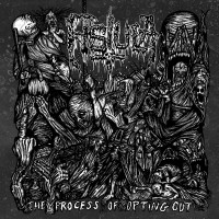 Album cover for The Process Of Opting Out