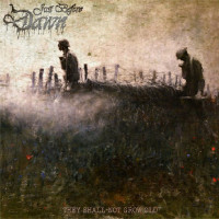 Album cover for They Shall Not Grow Old