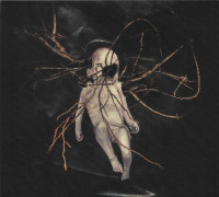 Album cover for Despondency Chord Progressions