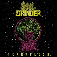 Album cover for Terraflesh